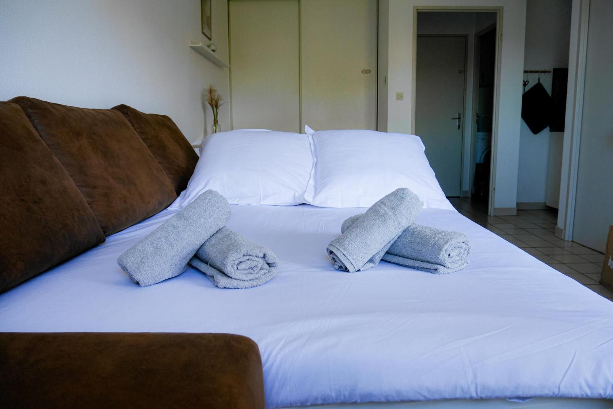Апартаменти Le Laurier - Cosi - Wifi - Parking - Balcon Saint-Orens-de-Gameville Екстер'єр фото